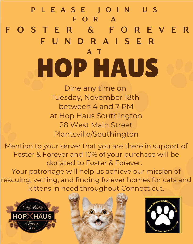 Hop Haus Flyer